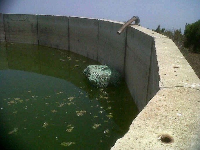 Sistema de flotación para aves