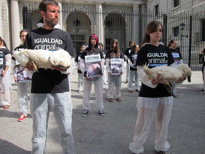 Protesta contra producción de foie