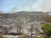 Continúan las labores de refresco en la zona del Parque Sierra de Grazalema afectada por un incendio