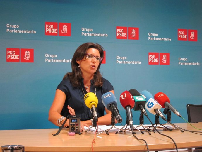 La diputada socialista María José Caride