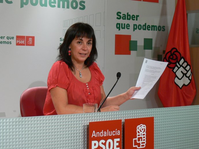 La Diputada Provincial Socialista Olvido De La Rosa