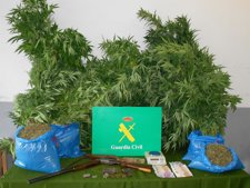 Incautación De Droga En Ribadesella