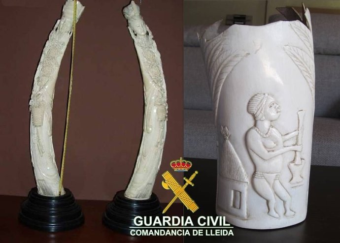 Esculturas De Marfil Decomisadas