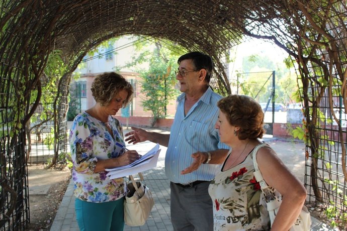 Castaño en el Parque Felipe II