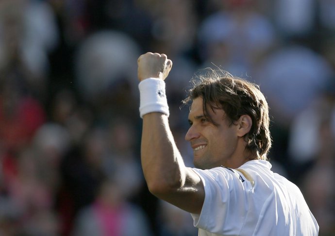 David Ferrer