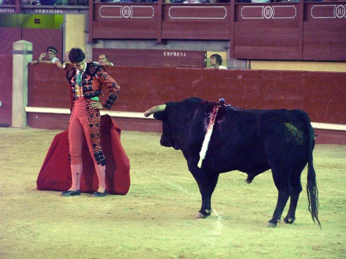El torero Alonso Rosales