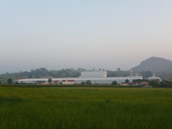 Planta Fermacell en Orejo (antigua GFB)