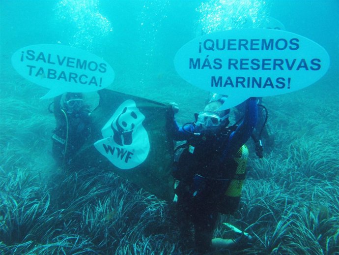 Activistas De WWF Y Ecologistas En Acción Durante La Acción Reivindicativa
