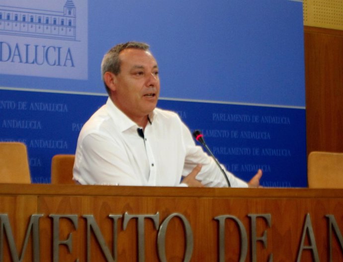 El Portavoz Del Grupo Socialista, Francisco Álvarez De La Chica, Hoy
