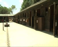 El fuego de Madremanya obliga a evacuar a noventa caballos de un centro ecuestre