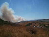Desalojadas varias viviendas en Estepona a causa de un incendio forestal