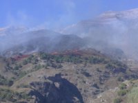 Controlado el incendio de Canillas de Aceituno, que afecta a unas 85 hectáreas