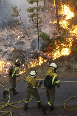 Incendio Forestal En Vilariño De Conso, Ourense (Galicia)