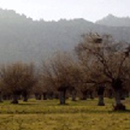 Fresnedas de la Sierra de Guadarrama