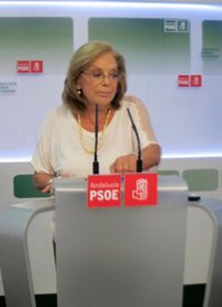 PSOE-A cree que aún "hay que darle tiempo" a la comisión para que "dictamine qué es lo ocurrido" con los ERE