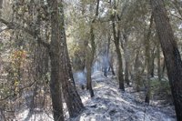 Protección Civil rebaja el Plan Infocat a prealerta