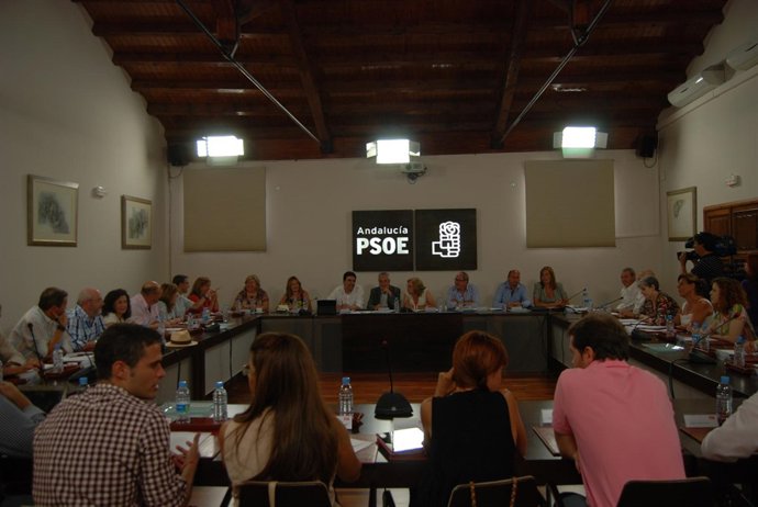 Comité Ejecutivo Socialista De Este Lunes En Sevilla