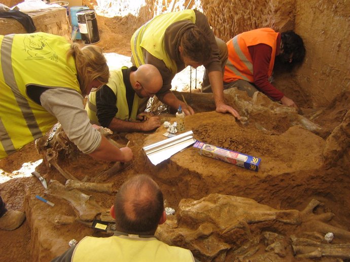 Excavación Vallparadís