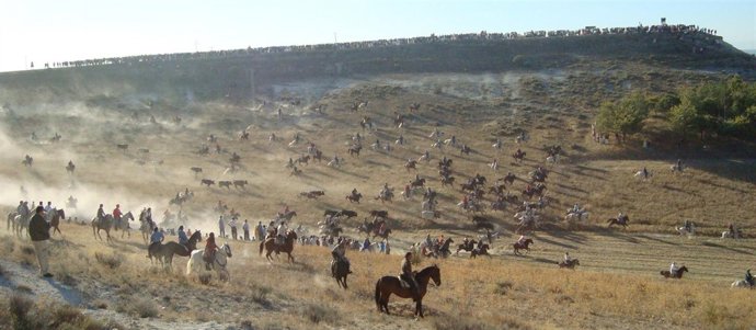 Encierro por el campo en Cuéllar (Segovia). 