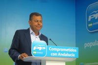 PP-A insta a Griñán y Valderas a pedir perdón por el "daño irreparable" que las "gordilladas" están haciendo a Andalucía