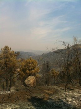 Incendio en la sierra oeste