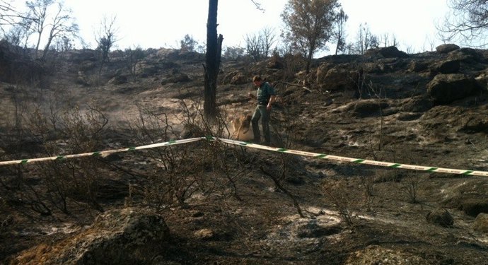 Incendio en la sierra oeste