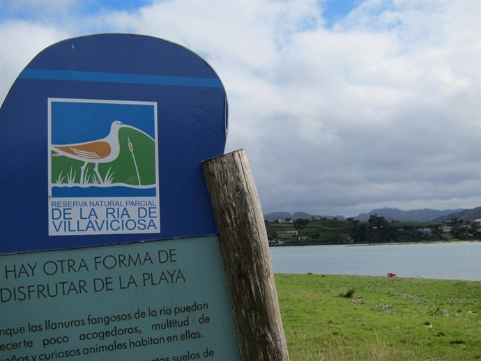 Ría de Villaviciosa