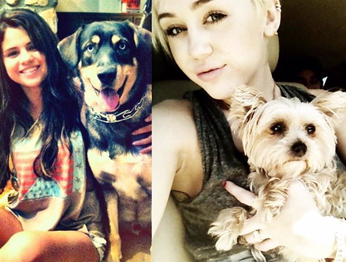 Selena Gomez y Miley Cyrus se fotografían con sus perros.