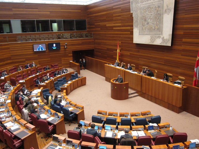 Pleno De Las Cortes