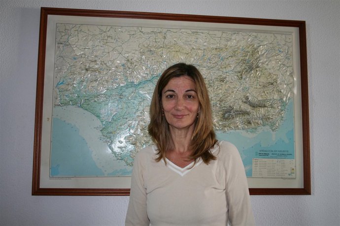 Estudiar La Arquitectura Como Patrimonio