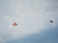 La descongelación de hielo del Ártico liberará 44 millones de toneladas de carbono a la atmósfera