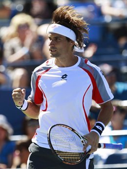David Ferrer