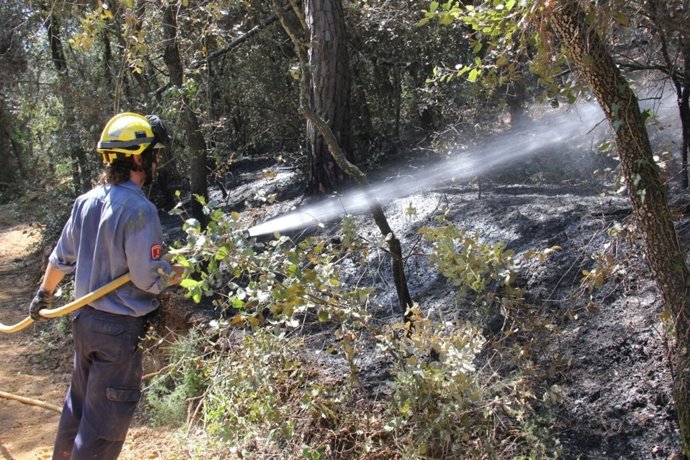 Incendio De Madremanya (Girona)