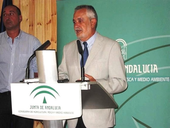 El presidente de la Junta, José Antonio Griñán.