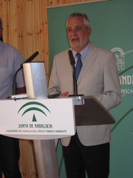 El presidente de la Junta de Andalucía, José Antonio Griñán. 