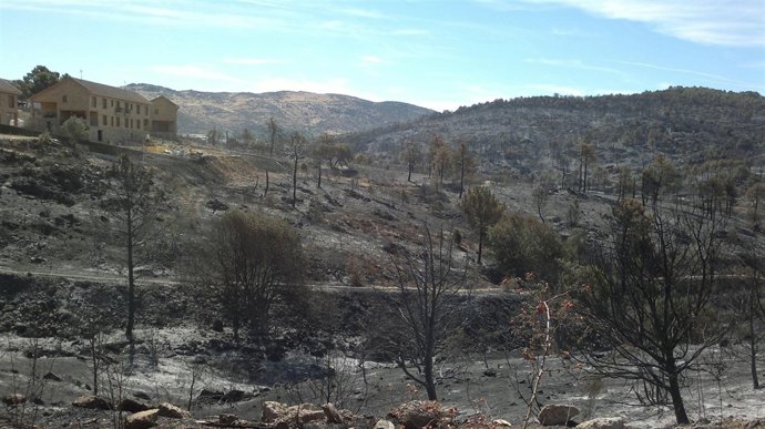 Incendio en la sierra oeste