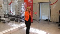 PSOE: el Gobierno ha provocado que las CC.AA. "hagan lo que quieran" con la sanidad