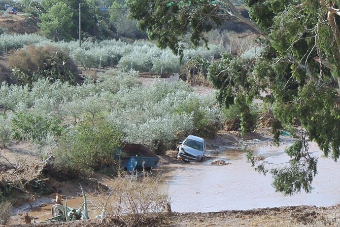 Una Finca De Frutales Anegada En Pulpí