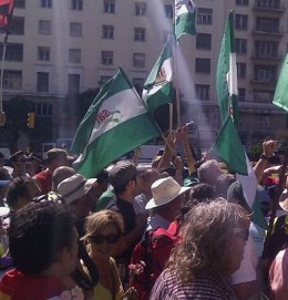 Marcha obrera del SAT en Málaga