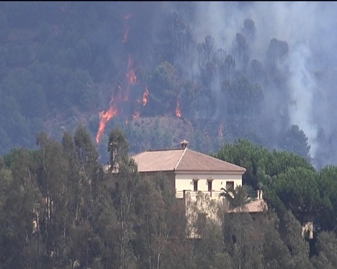 Fuego originado en Coín 