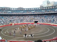 Los toros vuelven a TVE
