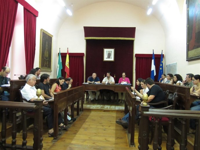 Imagen del pleno de Carmona (Sevilla)