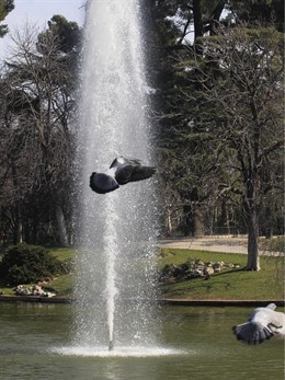 Recursos De Buen Tiempo, Sol