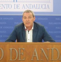 PSOE-A afirma que PP-A ha perdido el "sentido común" en la comisión de ERE, en la que "no encuentra lo que esperaba"