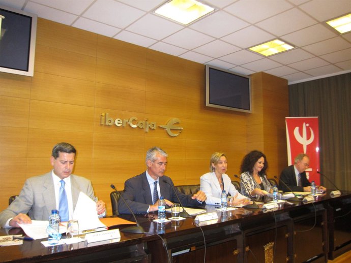 Presentación de las acciones de la Obra Social de Ibercaja 2012