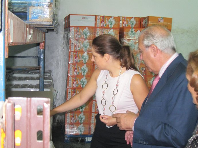 La Delegada Del Gobierno En Andalucía