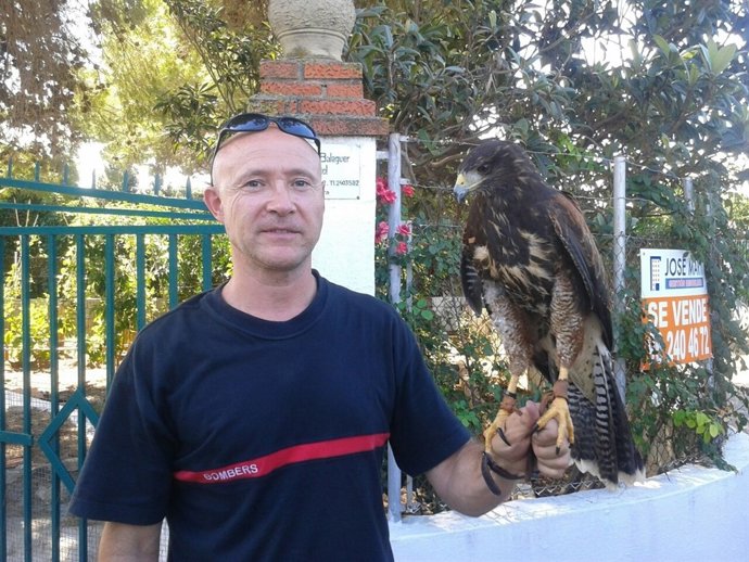 Ejemplar De Águila Rescatada Por Los Bomberos En Alzira