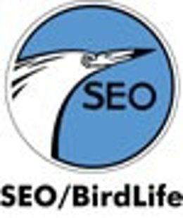Seo/Bridlife
