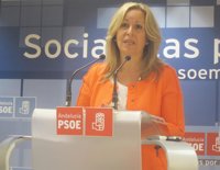 El PSOE critica el "desmantelamiento" de SNS con la implantación del copago en determinados servicios sanitarios