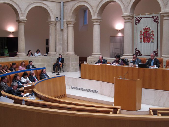 Pleno Parlamento de La Rioja